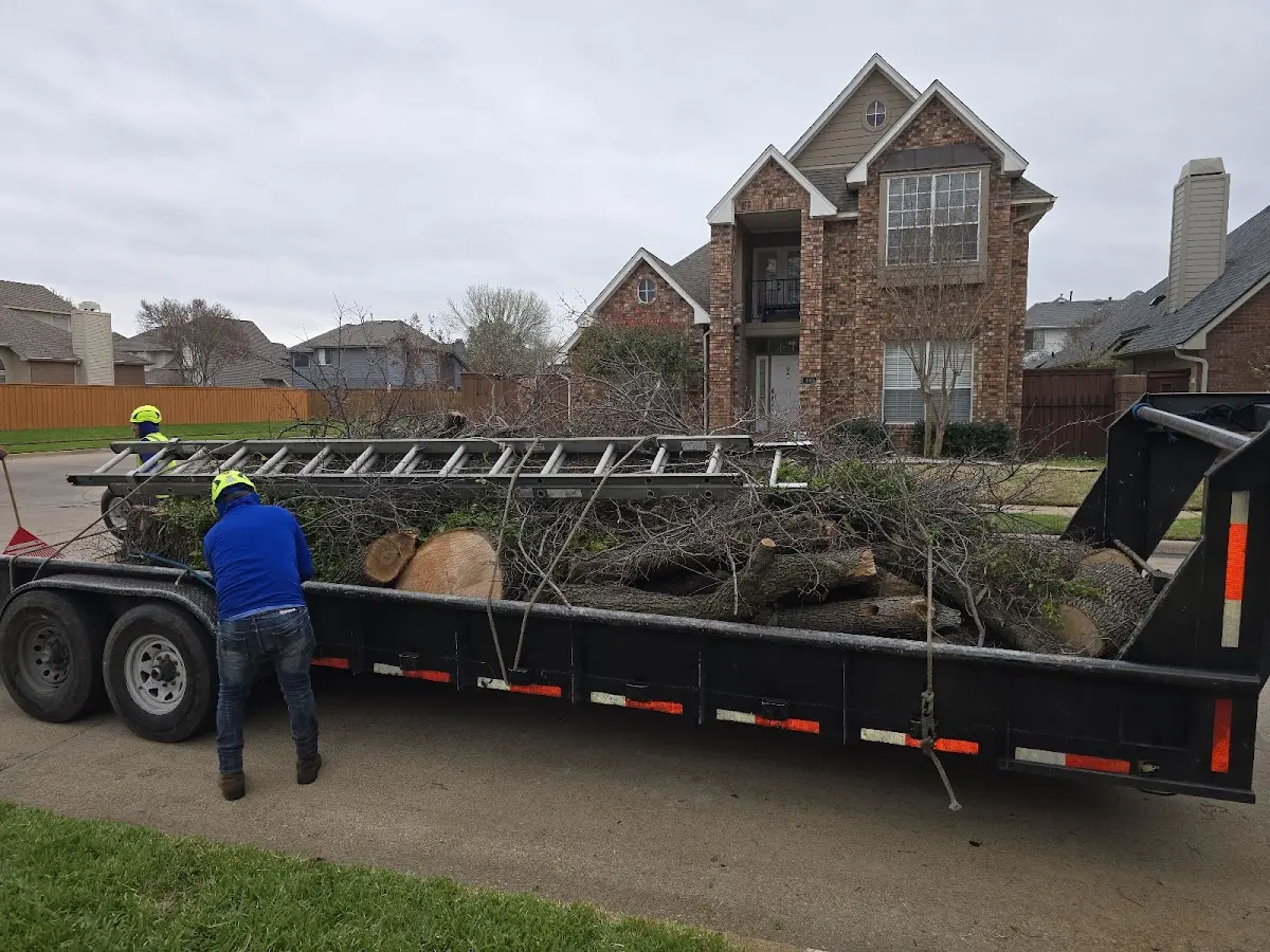 Expert Deadwooding with proper safety equipment in Grand Blanc